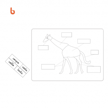 Nessuna immagine impostata 